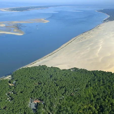 La Petite Sophie By Interhome * Arcachon
